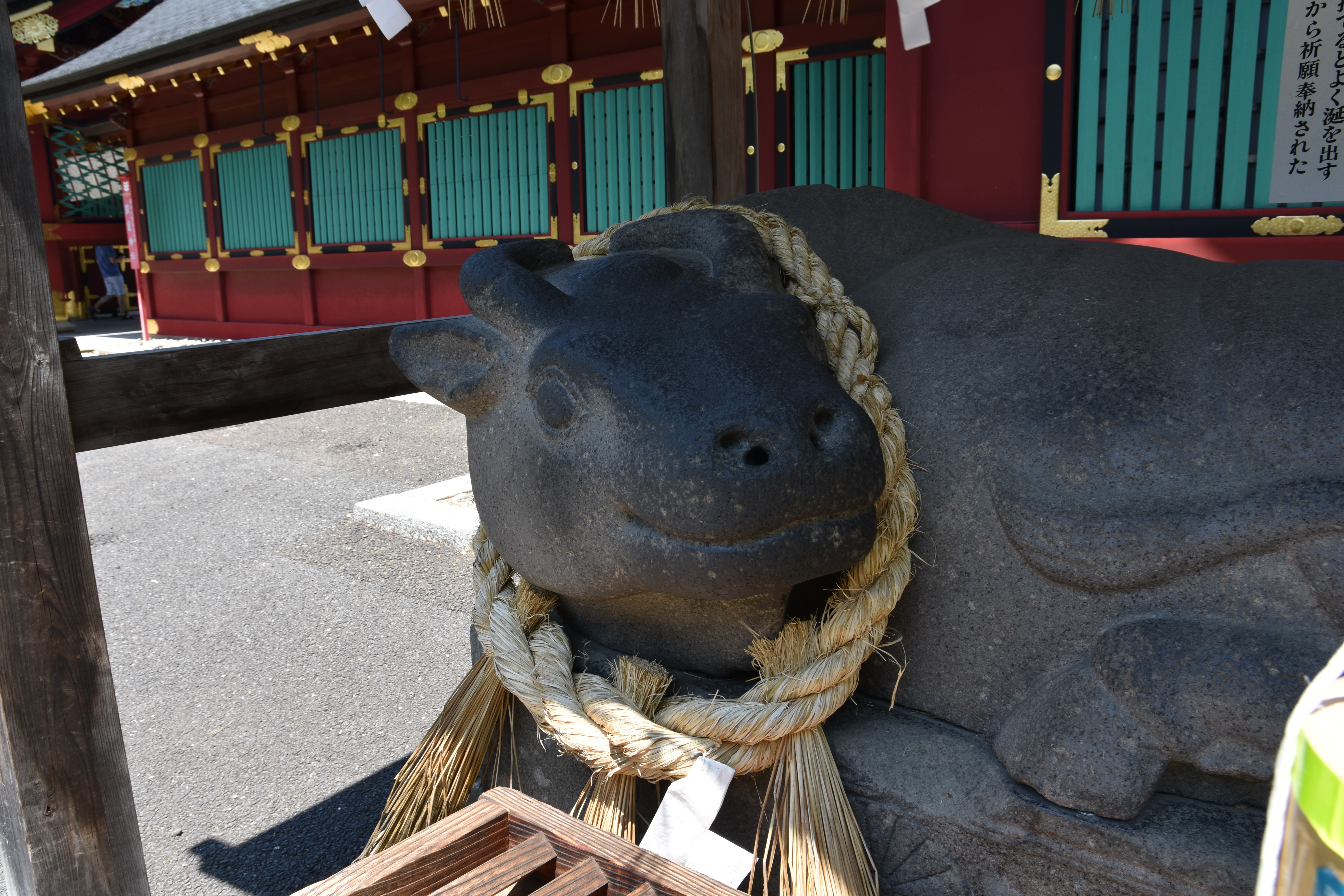 ぐるっくのプロフィール写真